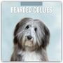 : Bearded Collies - Bearded Collie 2025 - 16-Monatskalender, KAL