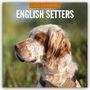 : English Setters - Englisch Setter 2025 - 16-Monatskalender, KAL