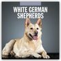 : White German Shepherds - Weißer Deutscher Schäferhund 2025 - 16-Monatskalender, KAL