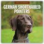 : German Shorthaired Pointers - Deutscher Kurzhaar - Deutscher Kurzhaariger Vorstehhund 2025 - 16-Monatskalender, KAL