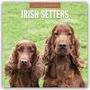 : Irish Setters - Irischer Setter 2025 - 16-Monatskalender, KAL