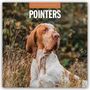 : Pointers - Vorstehhund - Pointer 2025 - 16-Monatskalender, KAL