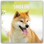 : Shiba Inu 2025 - 16-Monatskalender, KAL