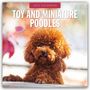 : Toy and Miniature Poodles - Zwergpudel 2025 - 16-Monatskalender, KAL