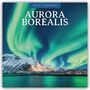 : Aurora Borealis - Nordlichter - Polarlicht 2025 - 16-Monatskalender, KAL