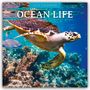 : Ocean Life - Leben im Ozean 2025 - 16-Monatskalender, KAL