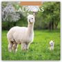 Robin Red: Alpacas - Alpakas 2026 - 16-Monatskalender, KAL