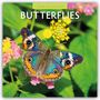 Robin Red: Butterflies - Schmetterlinge 2026 - 16-Monatskalender, KAL