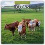 Robin Red: Cows - Kühe 2026 - 16-Monatskalender, KAL