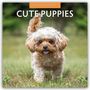 Robin Red: Cute Puppies - Niedliche Hundewelpen 2026 - 16-Monatskalender, KAL