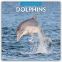 Robin Red: Dolphins - Delfine 2026 - 16-Monatskalender, KAL
