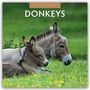 Robin Red: Donkeys - Esel 2026 - 16-Monatskalender, KAL
