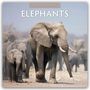 Robin Red: Elephants - Elefanten 2026 - 16-Monatskalender, KAL