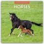 Robin Red: Horses - Pferde 2026 - 16-Monatskalender, KAL