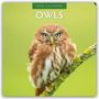 Robin Red: Owls - Eulen 2026 - 16-Monatskalender, KAL