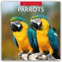 Robin Red: Parrots - Papageien 2026 - 16-Monatskalender, KAL