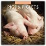 Robin Red: Pigs & Piglets - Schweine & Ferkel 2026 - 16-Monatskalender, KAL