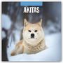 Robin Red: Akitas - Akita 2026 - 16-Monatskalender, KAL