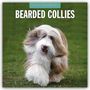 Robin Red: Bearded Collies - Bearded Collie 2026 - 16-Monatskalender, KAL