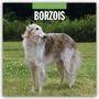Robin Red: Borzois - Barsoi - Barzaia - Russischer Wolfshund 2026 - 16-Monatskalender, KAL