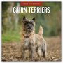 Robin Red: Cairn Terriers - Cairn Terrier 2026 - 16-Monatskalender, KAL