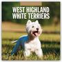 Robin Red: West Highland White Terriers - West Highland White Terrier - Westie 2026 - 16-Monatskalender, KAL