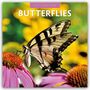 „2027 Calendar, Butterflies“ steht oben. Nahaufnahme eines Schmetterlings auf einer pinken Blüte vor gelbem Hintergrund.
