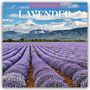 Robin Red: Lavender - Lavendel 2026 - 16-Monatskalender, KAL