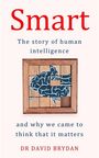 David Brydan: Smart, Buch