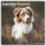 Avonside Publishing Ltd: Australian Shepherd - Australische Schäferhunde 2024 - 16-Monatskalender, KAL