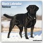 Avonside Publishing Ltd: Black Labrador Retriever - Schwarzer Labrador 2024 - 16-Monatskalender, KAL