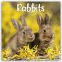 Avonside Publishing Ltd: Rabbits - Kaninchen 2024 - 16-Monatskalender, KAL