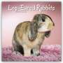 Avonside Publishing Ltd: Lop-eared Rabbits - Widderkaninchen 2024 - 16-Monatskalender, KAL