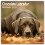 Avonsisde Publishing Ltd: Chocolate Labrador Retriever - Brauner Labrador 2025 - 16-Monatskalender, KAL