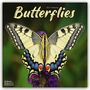 Avonside Publishing Ltd: Butterflies - Schmetterlinge 2025 - 16-Monatskalender, KAL