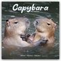 Avonside Publishing Ltd: Capybara - Wasserschwein 2025 - 16-Monatskalender, KAL