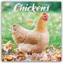 Avonside Publishing Ltd: Chickens - Hühner 2025 - 16-Monatskalender, KAL