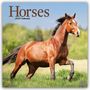Avonside Publishing Ltd: Horses - Pferde 2025 - 16-Monatskalender, KAL
