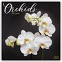 Avonside Publishing Ltd: Orchids - Orchideen 2025 - 16-Monatskalender, KAL