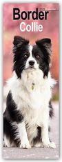 Avonside Publishing Ltd: Border Collies 2025, KAL