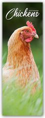 Avonside Publishing Ltd: Chickens - Hühner 2025, KAL