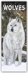Avonside Publishing Ltd: Wolves - Wölfe 2025, KAL