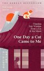 Oben: "THE KOREAN BESTSELLER", Buch: "One Day a Cat Came to Me", Katze sitzt auf einem traditionellen asiatischen Dach.