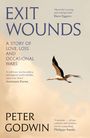 Peter Godwin: Exit Wounds, Buch