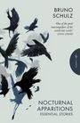 Bruno Schulz: Nocturnal Apparitions, Buch