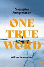 Snæbjorn Arngrimsson: One True Word, Buch