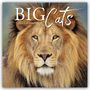 "BIG Cats 2027 Calendar" ist in Großbuchstaben auf einem Bild eines Löwen mit majestätischer Mähne geschrieben.
