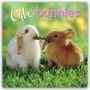 "Cute bunnies 2027 Calendar" in stilvoller Schrift. Zwei Kaninchen fressen Gras auf einer grünen Wiese.