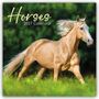 "Horses 2027 Calendar". Ein muskulöses, goldenes Pferd galoppiert durch eine grüne Wiese vor unscharfem Waldhintergrund.
