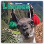 Text: „2027 Calendar Llamas“. Ein Lama mit roten und grünen Pompons an den Ohren, im Hintergrund Berge und Terrassen.